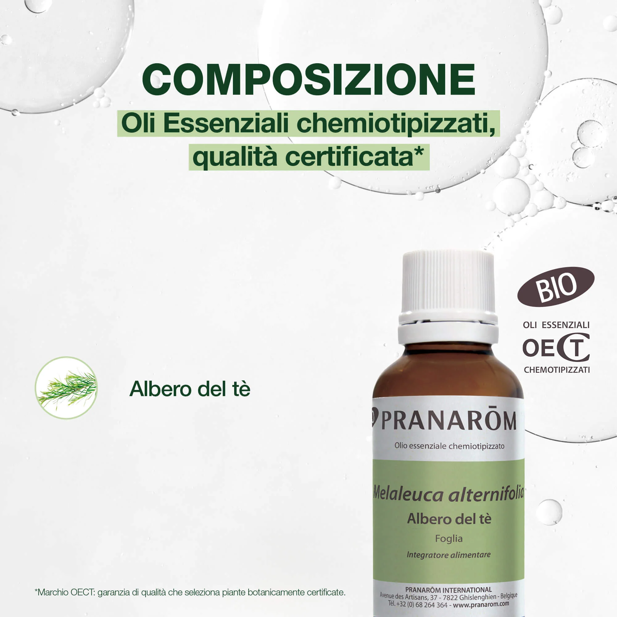 Albero del tè - Bio - Image 4