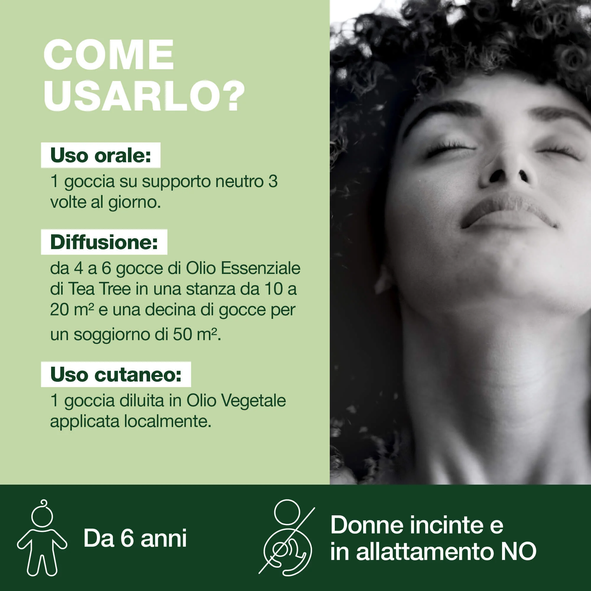 Albero del tè - Bio - Image 5