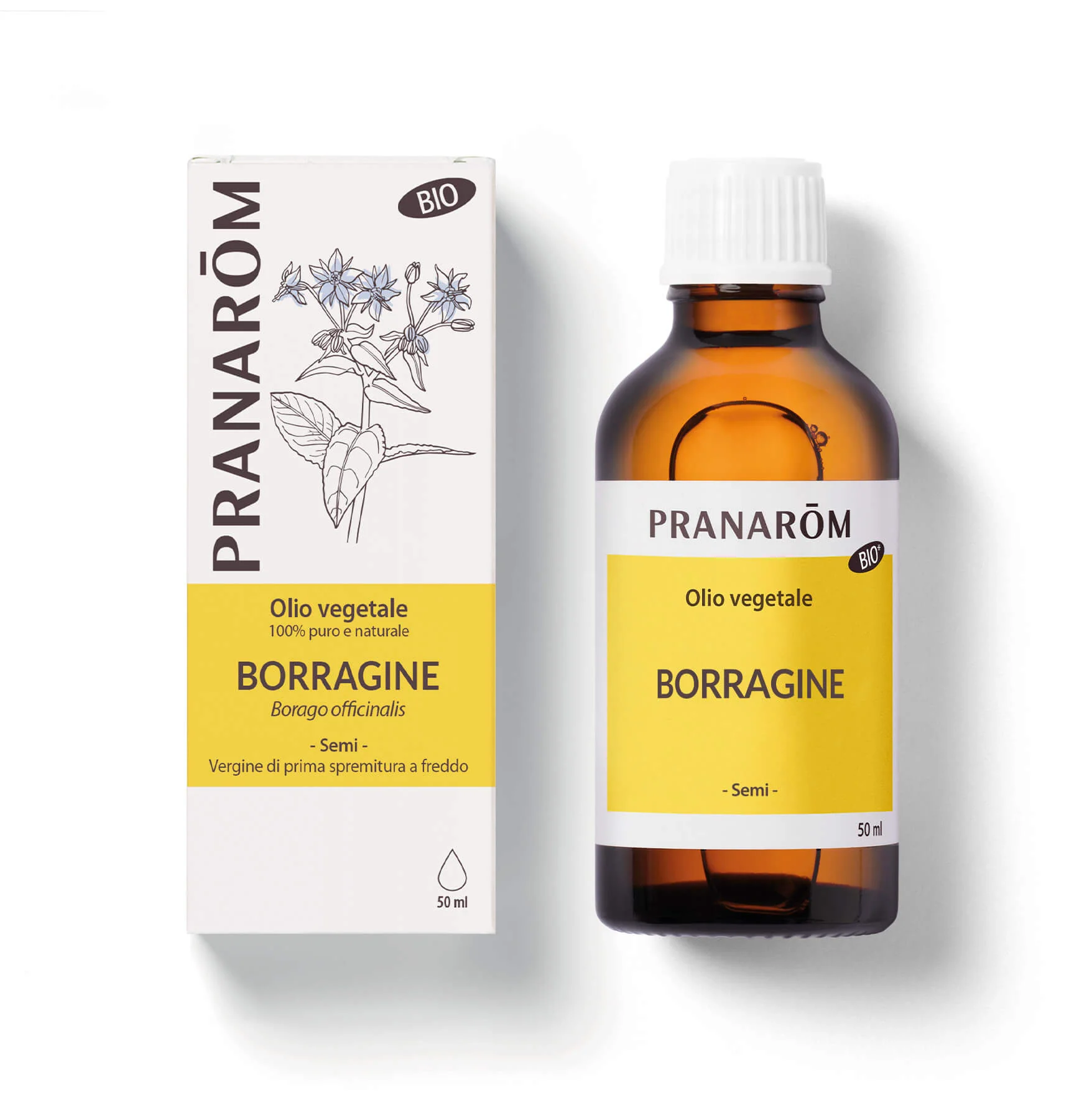 Borragine - Bio