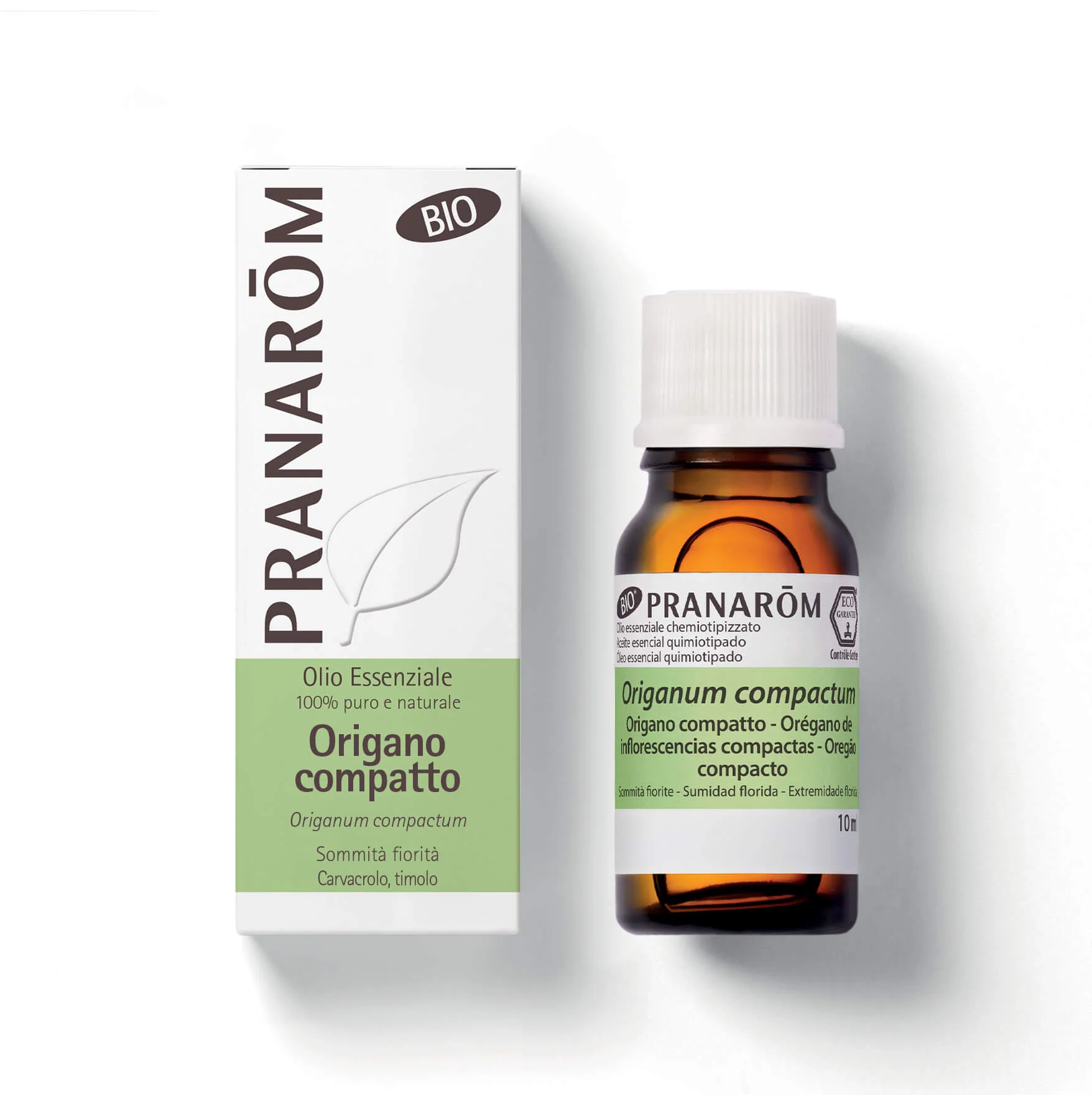 Origano compatto - Bio